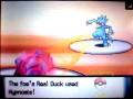 vs. Pendulumvideos (Narrated): Pokemon D/P Wi-Fi Battle