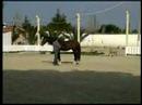 Horsemanship in Liberty 2