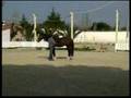 Horsemanship in Liberty 2
