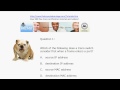 CCNA Certification Video Practice Exam 23:  CCNA Switching