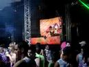 fest folia 2008