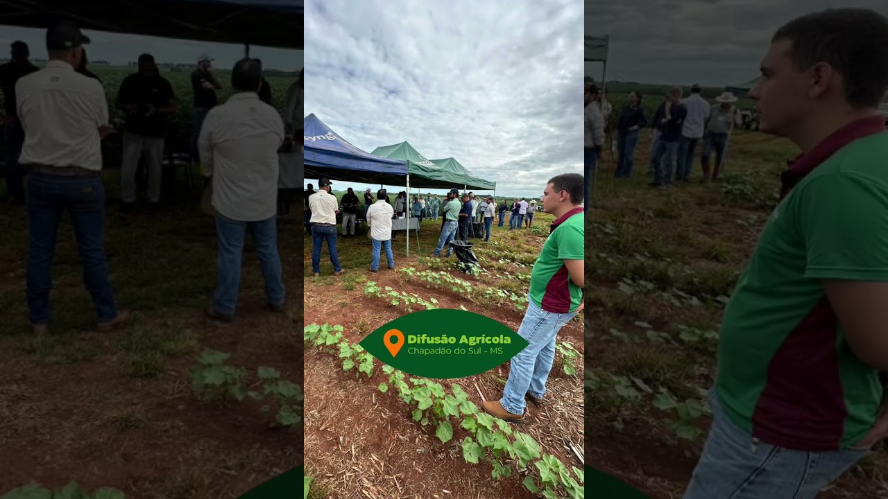 Dias da campo com a Conceito Sementes