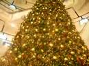 Christmas Tree at Central World Christmas Tree at Central World