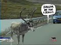 Da domenica 17 luglio a sabato 13 agosto 2005 ho fatto un viaggio in camper, con la mia famiglia, in Norvegia, fino a Nordkapp, punta più a Nord d'Europa, situata a 71° 10' 21