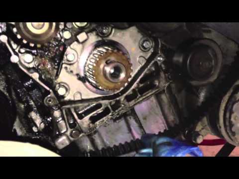 Peugeot 406 Timing Belt Change