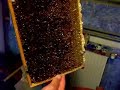 The beekeeper (2/2) The beekeeper (2/2)