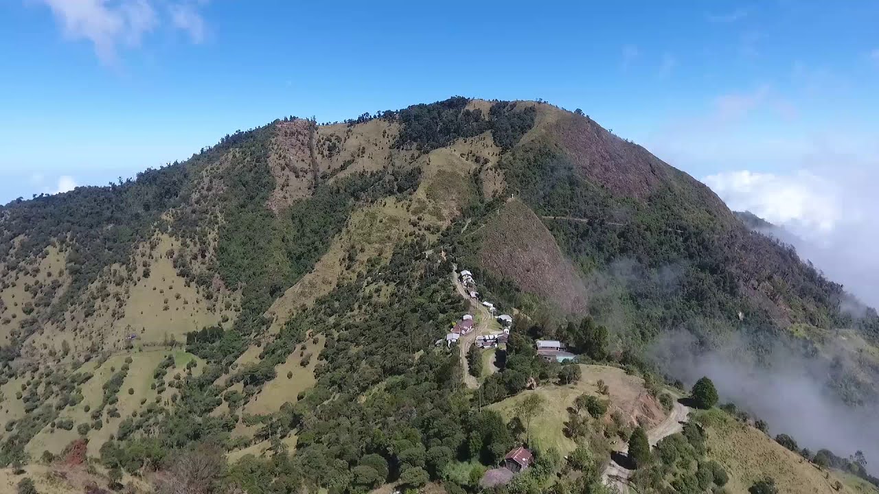 LOS ARRAYANES Community