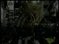 BUNGI GARLIN Chant Down Babylon