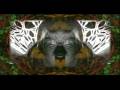 Cosma - Non Stop