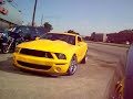 07 GT 500 Shelby Cobra