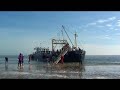 Dolfijnen , Zeehonden en Orka\ Dolfijnen , Zeehonden en Orka\