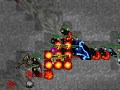 Alliance vs. Infernal Affairs