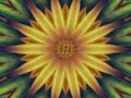 The Unheard Of - With love from another day The Unheard Of - With love from another day