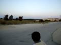 videos de Great planes Reactor with saito 82a engine