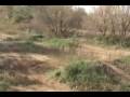 BRAAAP! Extreme Riding in Southern Minnesota - Part 3 of 3