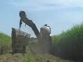 SUGAR CANE CHOPPER/HARVESTER COMBINE IN ACTION, GRINDING