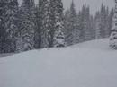Dupee Sledding at Rabbit Ears