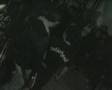 SONNY CORLEONE - live @ zetalab 5.1.2005