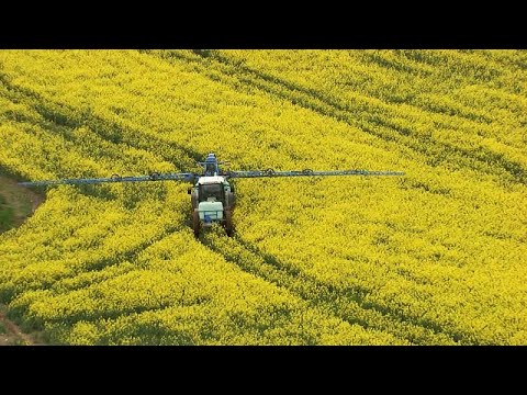 Frankreich: Geplante Pestizid-Beschrnkungen zurckgenommen - Umweltschtzer verrgert ber die Lockerung