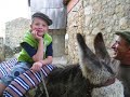Un holandesino rubino en El Torno, Extremadura.