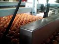 impresion en huevos con inkjet IMAJE
