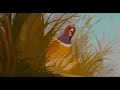 Verw�nscht - Der wahren Liebe kuss