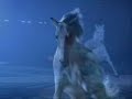 This video is intended to promote the breed of the Azteca Horse.