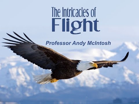 Birds and Flight – Andy McIntosh