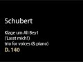 Schubert D 140 Klage um Ali Bey I ('Lasst mich!').wmv