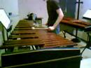gently swelling druckman on marimba gently swelling druckman on marimba