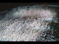 Ultras - Tifosi: Olympique Marseille
