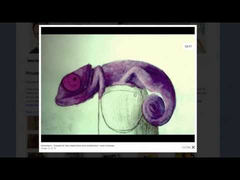 Sunday Gallery Review Jun 9 2013