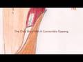 videos de The Nure Divaglio unvailed 