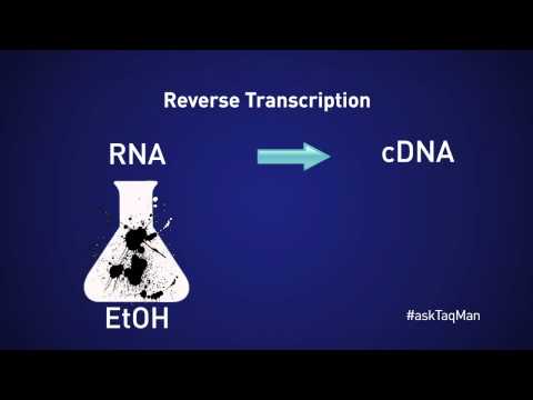 how to measure cdna concentration
