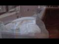 Kavanagh video.mpg