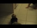 Logan Slapping Floor