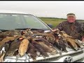 Argentina Dove, Duck, & Pigeon Hunting by Brian Center Hunting,