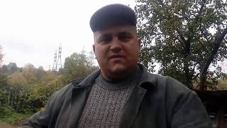 Забой кролика Видео! Видео сёрфинг Забой кролика Видео! Видео сёрфинг