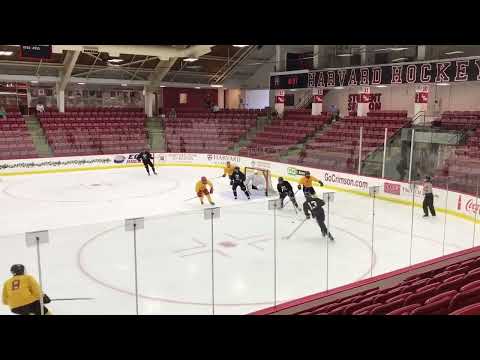 Harvard Camp 2022 #19 Yellow