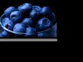 Water. Holistic Secrets with Rachel Avalon Water. Holistic Secrets with Rachel Avalon