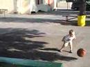 Liam bouncing a baskeball