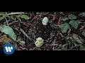 Baustelle Nessuno Official Music Video and Lyrics