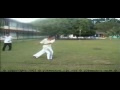 capoeira y2kmestre team clips collection