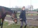 Hyppolite et Annelyse Hyppolite et Annelyse