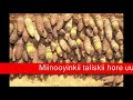 bilicda iyo horumarka somaliland