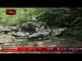 Troops advance in Kilali. Northern War Front 6th of December 2008