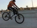 Master stunt