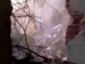 videos de susto