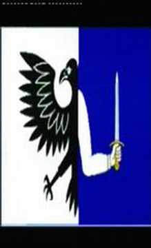 Four Green Fields - The Flying Column