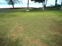 we rented a very very nice cottage in diani beach (diani beacherlet hotel) for only 2900 ksh. it's literarally half a min away from the beach and so large (two bed room flat).